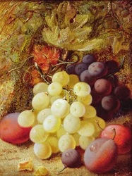 Raisins et prunes